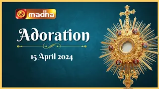 🔴 LIVE 15 April 2024  Adoration 11:00 AM | Madha TV