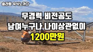 무경력 비전공 나이 남여노소 불문하고 노가다 월급 1200만원