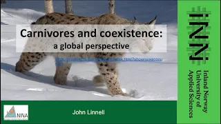 John Linnell: Carnivores and co-existence — a global perspective