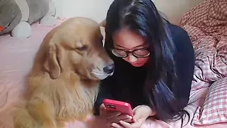 When Your Dog Is Like Your Sibling 🤣 Funny Dog and Human