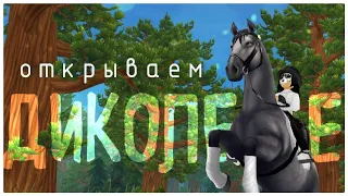 ОТКРЫВАЕМ ДИКОЛЕСЬЕ! STAR STABLE! ✨🍃