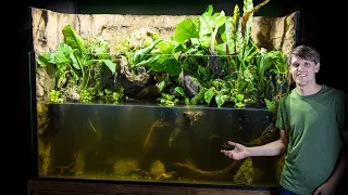 Planting the 350 Gallon Paludarium (Build Part 2)