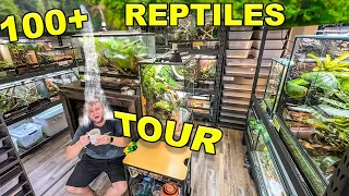 Reptile ROOM Tour March 2024!! Over 100 pet reptiles!!