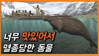 황당하고 어이없는 이유로 멸종한 동물 TOP 5