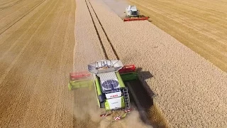 Claas Lexion 760 und 560 Mähdrescher mit 9 Meter Schneidwerk bei der Ernte