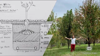 Grow Trees & Produce Fruits QUICKEST || The modified BLUEPRINT METHOD || Ellen White Way