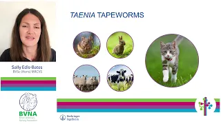 Treacherous Tapeworms – Parasite Webinar Series - Sally Edis-Bates MRCVS