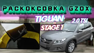 Tiguan 2.0 TSI Раскоксовка Gzox