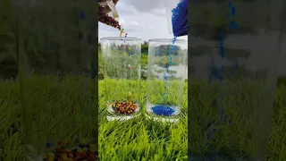 #shorts | 🌈🫧🔫 Orbeez Ball Grow Test | Experiment