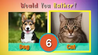 Would you Rather? Pets Edition | Cute Pets Brain Break & Movement Activity | PhonicsMan Fitness