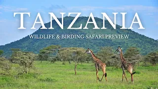 Tanzania Birds & Wildlife | Safari Preview | Naturalist Journeys