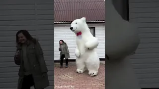 Поздравление для любимой жены. ❤️Белый мишка Воложин - Минск.