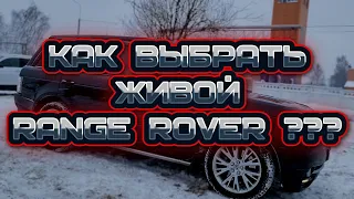 Как купить ЖИВОЙ Range Rover???