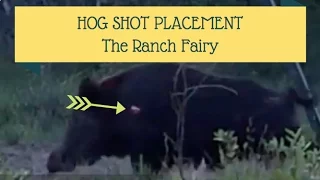 Hog Shot Placement "Watch This First" I Ranch Fairy