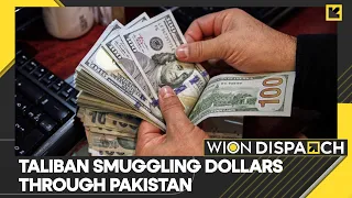 Pakistan's pain is Taliban's gain? Taliban smuggles dollars through Pakistan | WION Dispatch