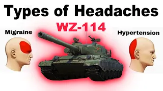 WZ-114 in a nutshell