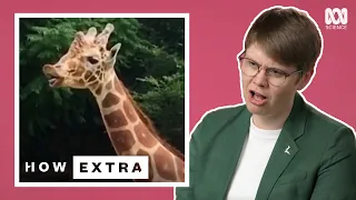 Giraffe Foreplay: It's All About The Pee | REACTION | How Extra: Love Edition | ABC Science