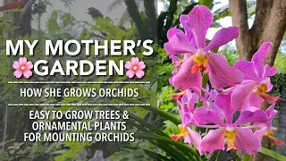 MY MOTHER'S ORCHIDS | Easy to Grow Trees and Ornamental Plants to Mount Orchids | Garden Tour