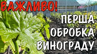 ПЕРША ОБРОБКА ВИНОГРАДУ. ПЕРШИЙ ЗАХИСТ ВІД МІЛДЬЮ ТА ОІДІУМУ.