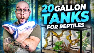 5 Reptiles That Can Live in 20 Gallon Enclosures FOREVER!