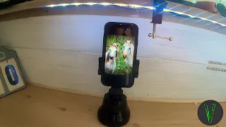 Camera Phone Holder Auto Face Tracking Intelligent Gimbal 360° Rotation Vlog Mobile Holder review