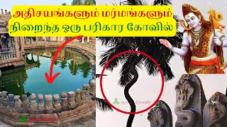 அதிசயங்களும் மர்மங்களும் நிறைந்த ராகு கேது பரிகார ஸ்தலம் | நாகநாதசுவாமி கோயில் Naganathar Temple