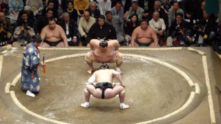 Yokozuna Harumafuji (1-0) - Sekiwake Kotoshogiku (0-1) , Sumo : Natsubasho '17