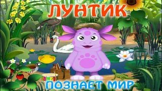 Лунтик познает мир. Полная версия. Мультик- игра для детей | Kapelka