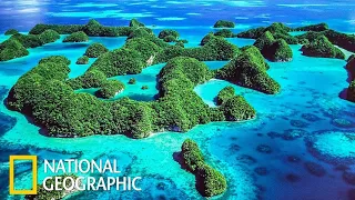 Дикие острова Документальные фильмы   National geographic. Природа Океан Жизнь на островах
