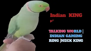 talking world |Indian gaming ring |neck king |beautiful |heaven |best wenderfull amazing  |magical