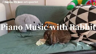 【Music Playlist】🐇Best Piano Relax Music Compilation💖 | Rabbit with you | Positive Feelings |