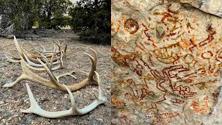 ELK SHED HUNTING 2021 PLUS ANCIENT PICTOGRAPHS!!!