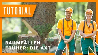 Baum fällen im Wandel der Zeit: Axt I Tutorial-Special der Bayerischen Staatsforsten