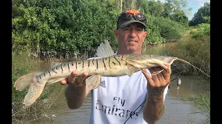 Fishing for Catfish in Suriname