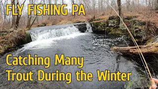 How to Catch Tons of Trout in the Wintertime!! (Pennsylvania - Wild Trout Fly Fishing)