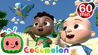 I Spy Song + More!  | CoComelon - It's Cody Time | CoComelon Songs for Kids & Nursery Rhymes