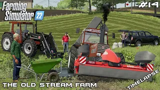 Got STUCK in the CREEK while MOWING GRASS | The Old Stream Farm | Farming Simulator 22 | Episode 14