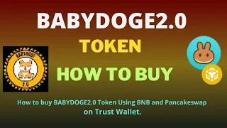 How to Buy Babydoge 2.0 (BABYDOGE2.0) Token Using BNB and PancakeSwap On Trust Wallet