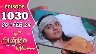 Anbe Vaa Serial | Episode 1030 | 24th Feb 2024| Virat | Shree Gopika |Saregama TV Shows Tamil