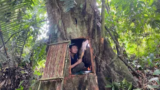 Làm nơi sinh tồn trong hốc cây rống , make a living place in the hollow of a tree