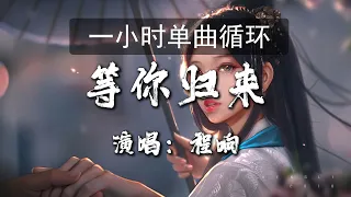 🔷一小时单曲循环🔷【等你归来 - 程响】『揽尽星辰入怀 千川归来 化一片沧海』|热门歌曲|歌曲排行|抖音歌曲|kkbox|动态歌词Lyrics