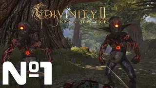 Divinity II: Ego Draconis на высокой сложности (1 часть)