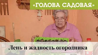 Голова садовая - Лень и жадность огородника