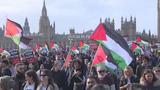 Protests held around the world in support of Palestinians