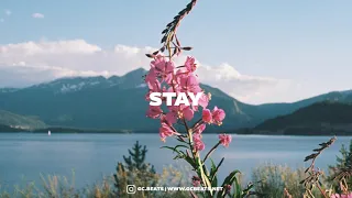 Chill R&B Guitar Type Beat ''STAY''