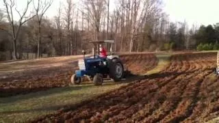 Ford 5000 Chisel Plowing