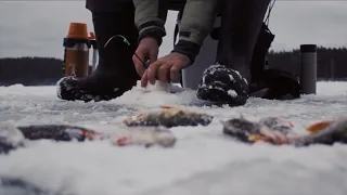 Второй-Первый лёд. Учимся ловить окуня на мормышку