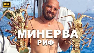 Минерва Риф – самое уникальное место на планете, атолл посредине Тихого океана, у которого нет суши.