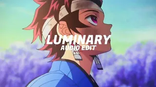 Joel Sunny - Luminary [edit audio]