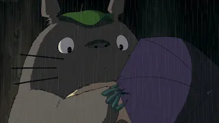 Totoro edit